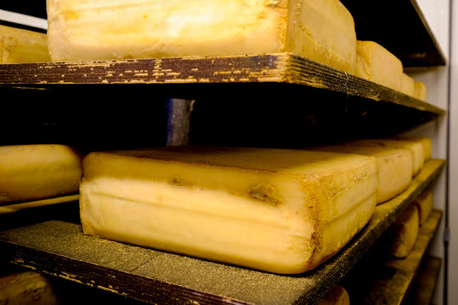 Sønderhaven Gårdmejeri - Gastronomi og hotelvirksomhed