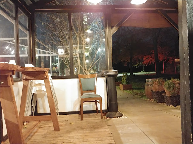 Comentarii opinii despre Ciao-Ciao