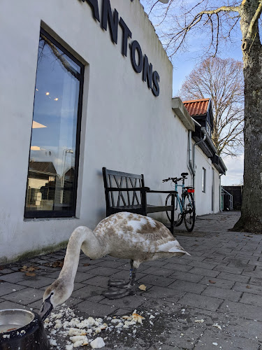 ANTONS – spis brød til - Gastronomi og hotelvirksomhed