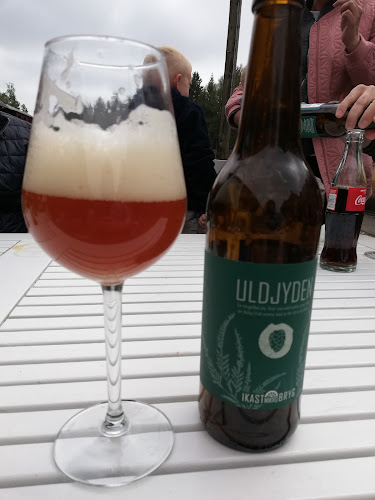 Comentarii opinii despre Vrads Station