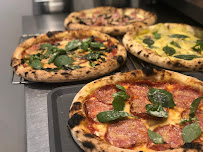 Ildegal Samsø - Samsø