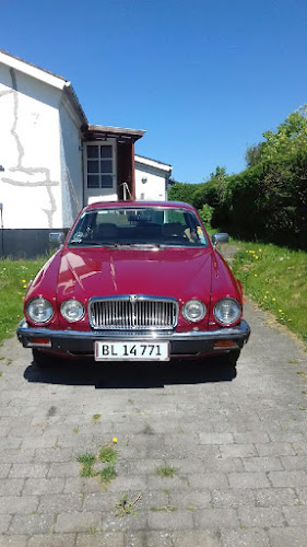 Comentarii opinii despre Færgegården