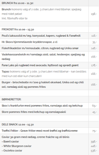 Comentarii opinii despre Hr. Skov Blåvand