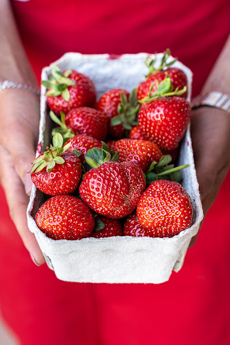 Comentarii opinii despre Brammers Menuer