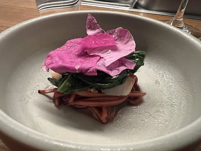 Comentarii opinii despre Jatak