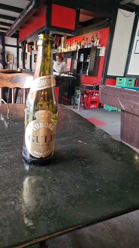 Hermod Bodega - København