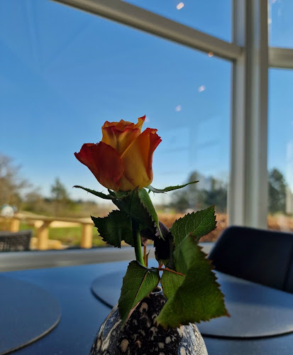 Hjørring Golfcafé - Hjørring