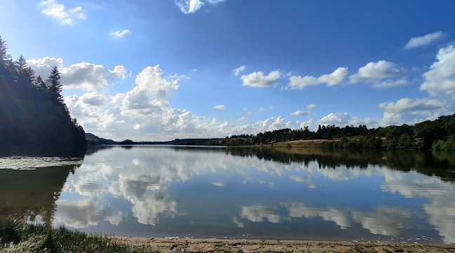 Comentarii opinii despre Rørbæk Sø