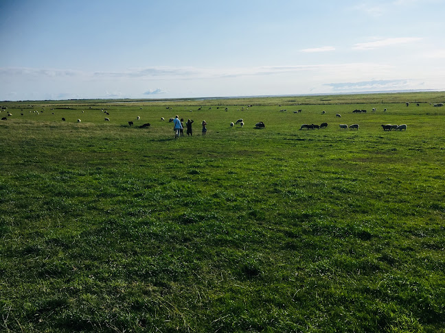 Bjerrumvej 30, 6760 Ribe