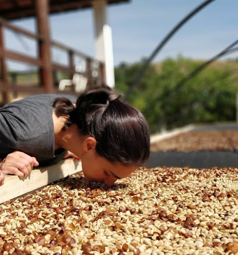 Comentarii opinii despre Lajmi - Coffee Roasters