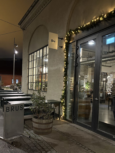 Comentarii opinii despre BRUS