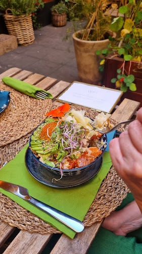 Jellyfish Elsinore - Helsingør