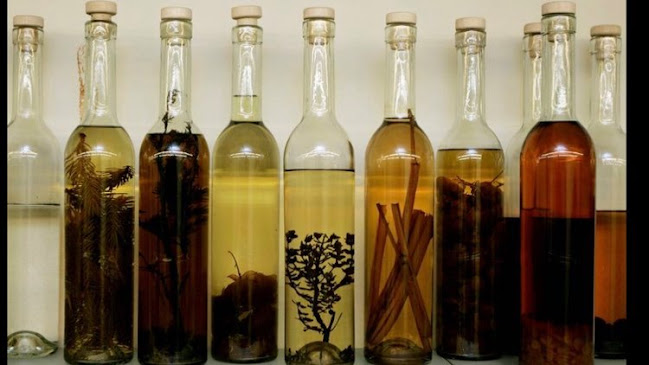 Opinii despre MT Catering - Levering af catering în Taastrup - Gastronomi og hotelvirksomhed