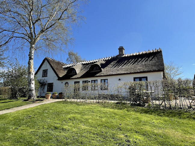 Comentarii opinii despre Rabarbergaarden