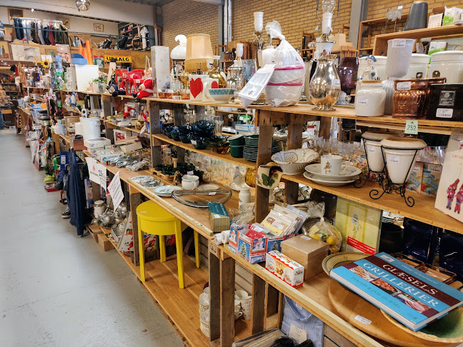 Comentarii opinii despre Loppeworld