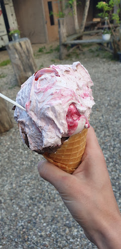 Comentarii opinii despre Langesø Vaffelhus