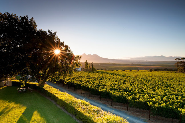 Comentarii opinii despre Protea Vin ApS