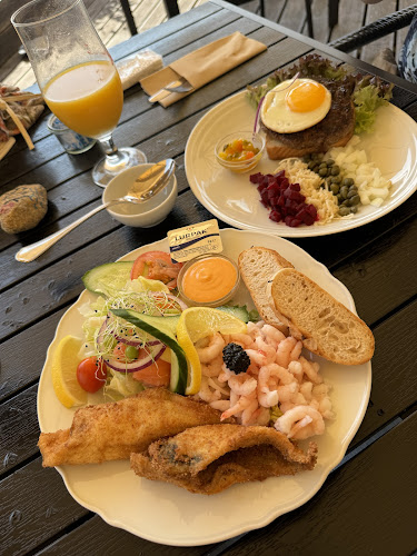 Comentarii opinii despre Frankel 5