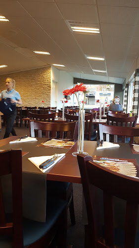 Alanya Pizza Steak House - Gastronomi og hotelvirksomhed