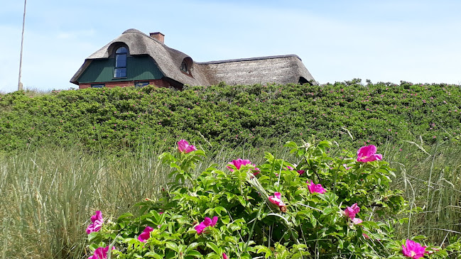 Comentarii opinii despre StrandBaren