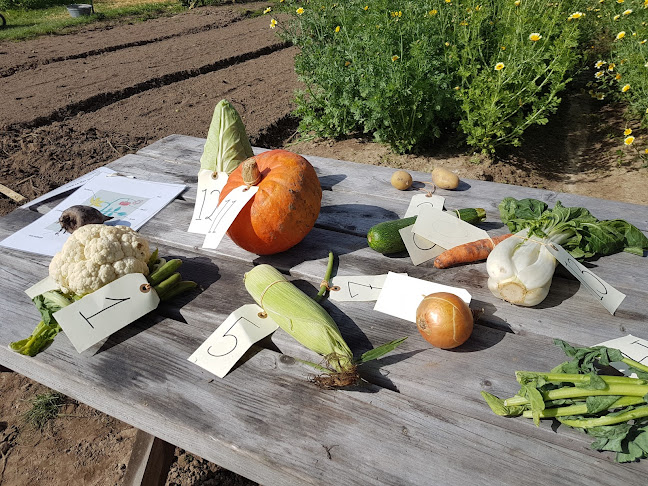 Opinii despre Aarstiderne în Humlebæk - Gastronomi og hotelvirksomhed