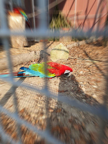 Lumbyesvej 45, 7000 Fredericia