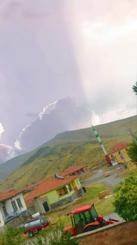 Comentarii opinii despre Konya Slagter & Shawarma Haus