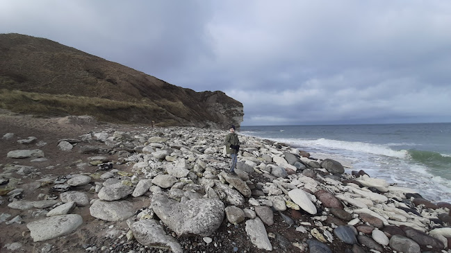 Comentarii opinii despre Thy Event & Naturcenter ApS