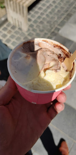 Comentarii opinii despre Amici