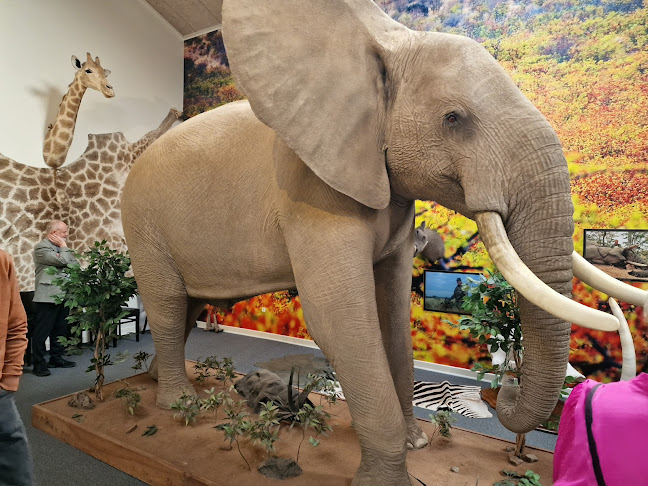 Nygaards Afrika - Jagtmuseum - Dyrehave - Musik & Dansested - Restaurant - Gårdbutik - Overnatning - Nørre Nebel