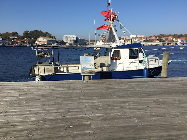 Ny Stavensbøl 1, 6440 Augustenborg