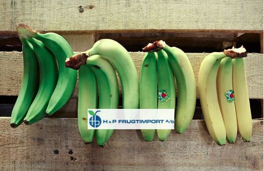 Opinii despre H & P Frugtimport A/S în Vejle - Gastronomi og hotelvirksomhed