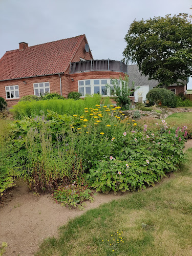 Comentarii opinii despre Stenbækhus / mad på Mols