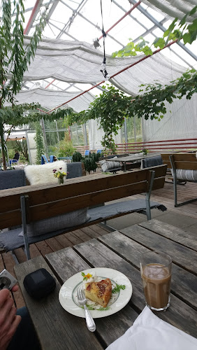 Sct. Hans Have - Gastronomi og hotelvirksomhed