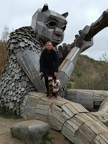 Lindenborgvej 45, 4000 Roskilde