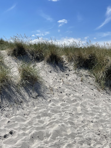 Comentarii opinii despre Nordstrands Mums