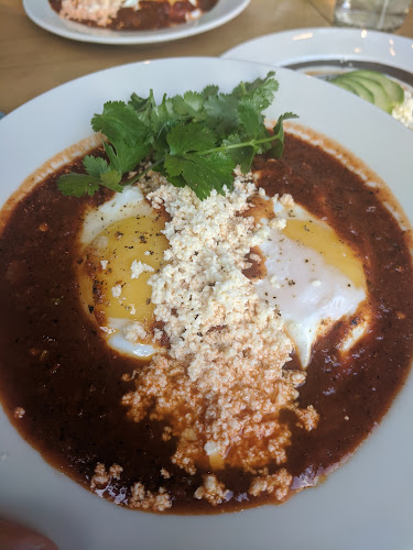 Comentarii opinii despre Sanchez