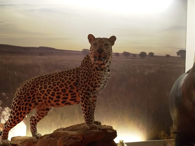 Nørre Lydumvej 110, 6830 Nørre Nebel