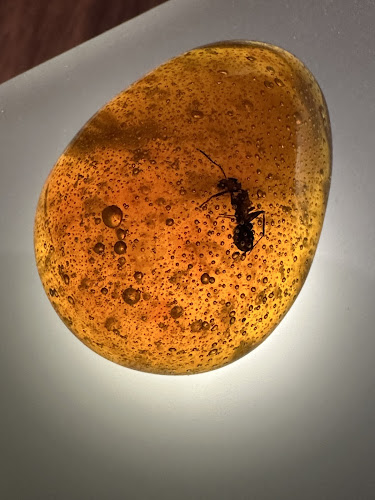 Opinii despre Alchemist în Indre By - Gastronomi og hotelvirksomhed