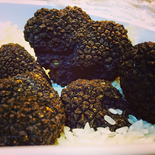 Hovedgaden 45, 3220 Tisvilde