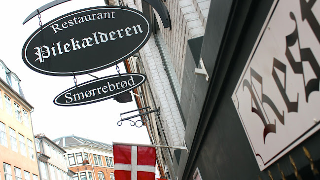 Comentarii opinii despre Restaurant Pilekælderen