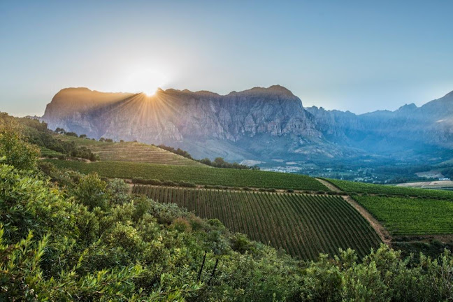 Klubiensvej 19, 1, 2150, 2150 København