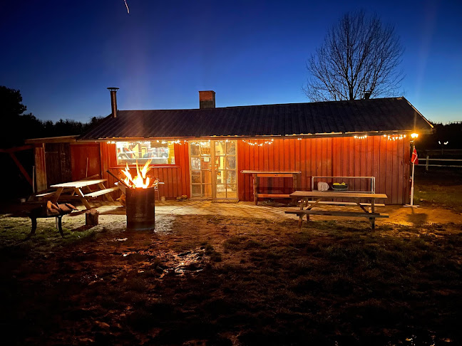 Comentarii opinii despre Cowboy Caféen