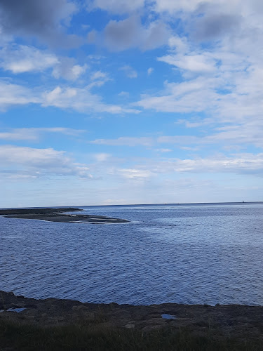 Comentarii opinii despre Café Odden/ Hillbilly Grill