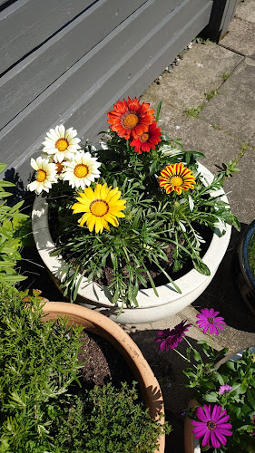 Lavpris Blomst - Fredensborg