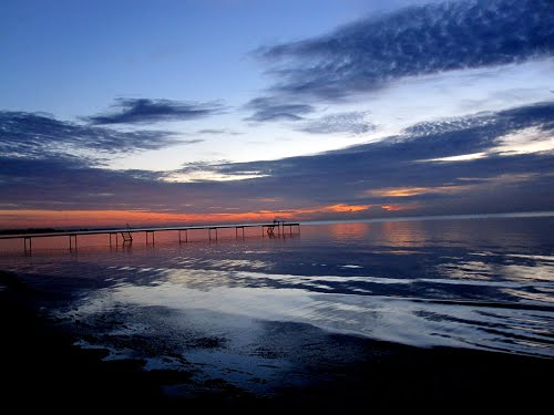 Strandløven - Gastronomi og hotelvirksomhed