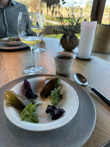 Comentarii opinii despre Noma