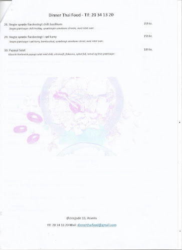 Dinner Thai Food - Assens