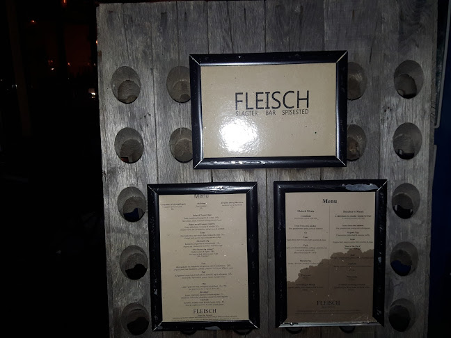 Comentarii opinii despre Fleisch