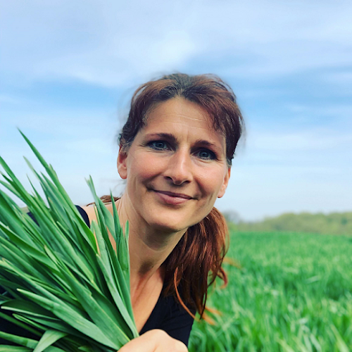 Opinii despre Juicekur în Dybvad - Gastronomi og hotelvirksomhed